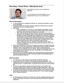 Screen capture of DBA persona document.